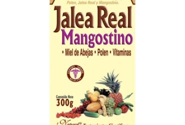 JALEA REAL MANGOSTINO 300 GR
