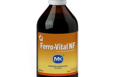 FERROVITAL VAINILLA JARABE 340 ML