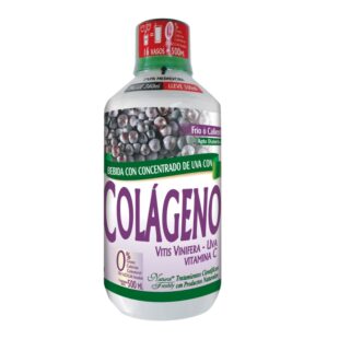 BEBIDA CONC FRUTA COLAG PG.360 LL500 ML
