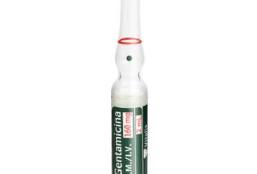 GENTAMICINA 160 MG/2 ML 10 AMPOLLAS VT