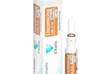 LINCOMICINA 300MG/1ML 1 AMPOLLA VT