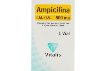 AMPICILINA 500 MG 1 AMPOLLAS VT