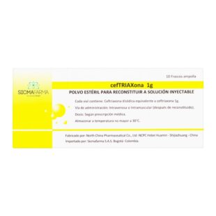 CEFTRIAXONA 1.0 G SOLU.INYECTA.10 VIALES