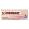 CLINDABACT CLINDA+CLOTRI TBO 20G VAG 3AP