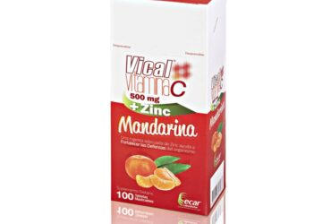 VICAL VITAMINA C 500MG+ZINC MAN. 100 TBS
